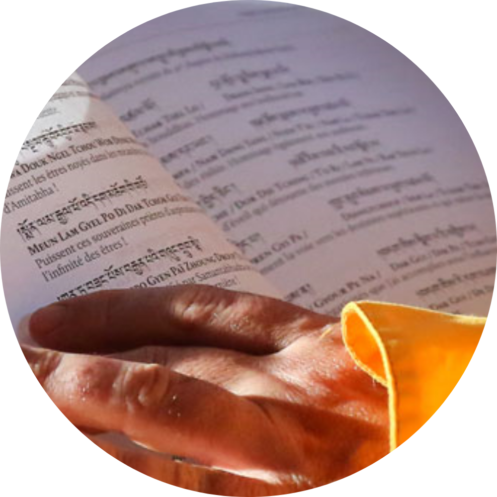 Etude de texte cerclé