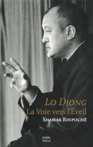 Lo Djong shamarpa shamar rinpoche entrainement de l'esprit meditation tonglen